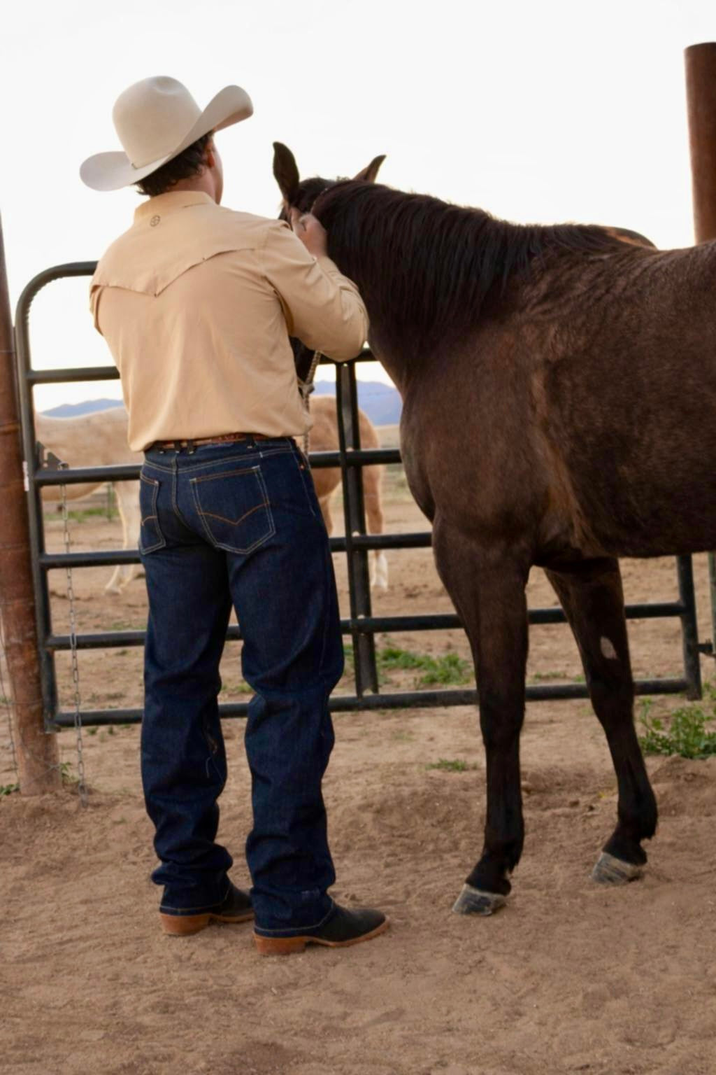 Style 101 Jeans