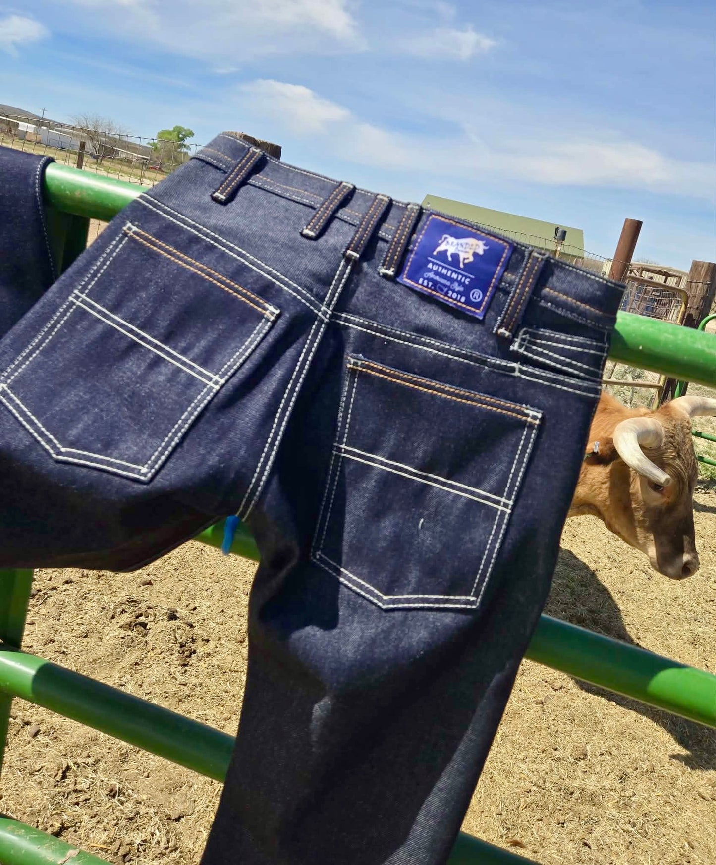 "Roy" Classic Raw Denim Jeans