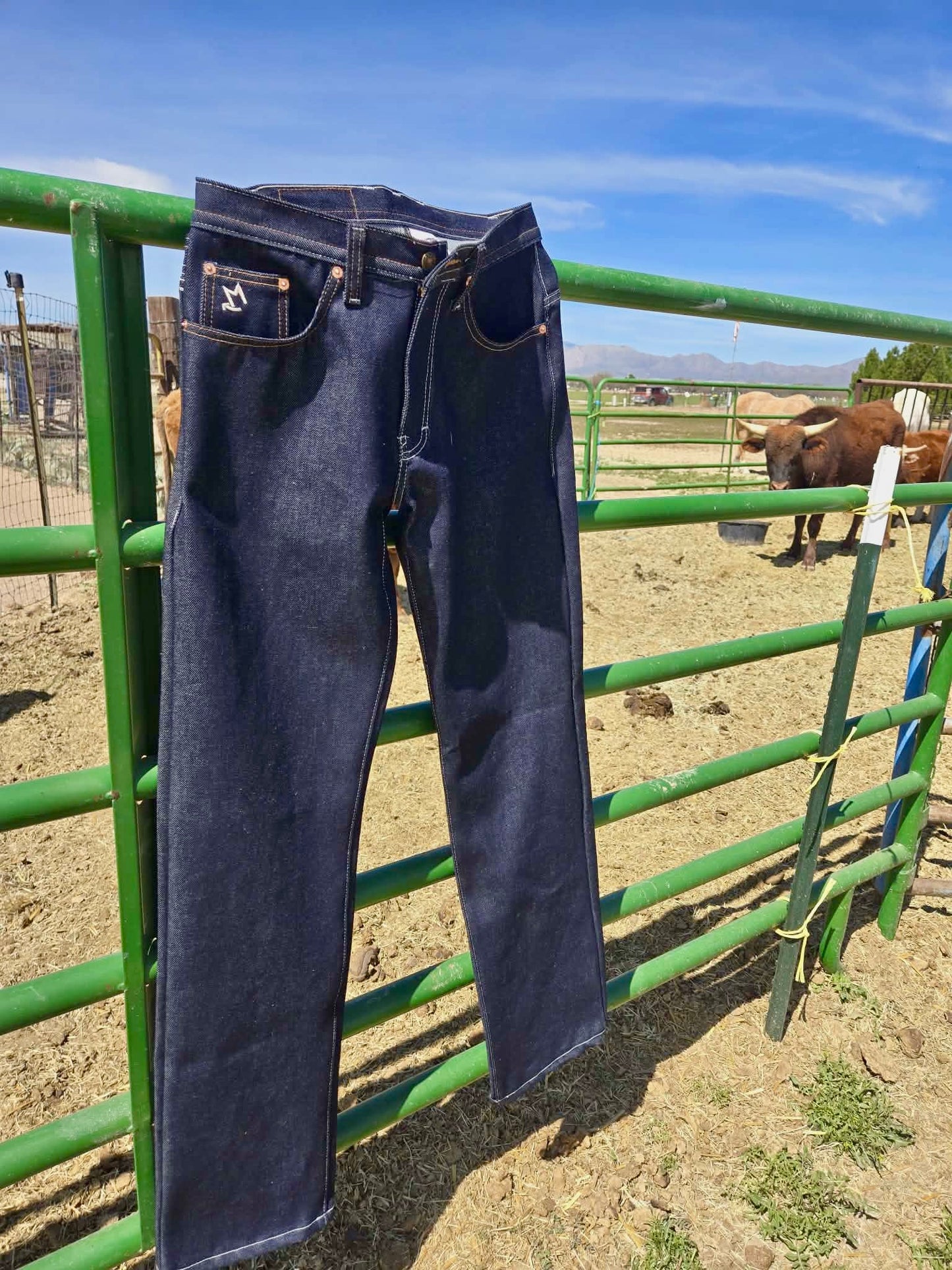 "Roy" Classic Raw Denim Jeans